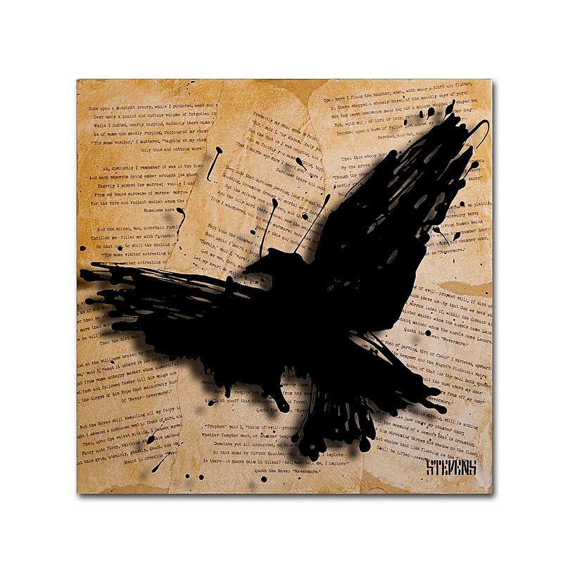 Trademark Fine Art Roderick Stevens 'The Raven 2' 24 x 24 (RS1012-C2424GG) image 1
