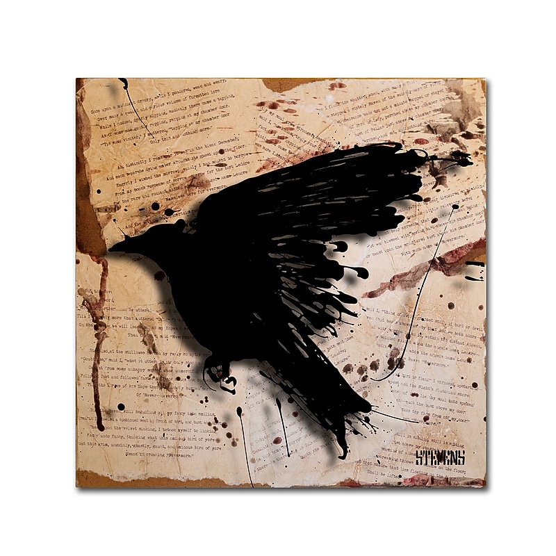 Trademark Fine Art Roderick Stevens 'The Raven 3' 24 x 24 (RS1013-C2424GG) image 1