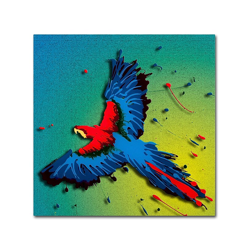 Trademark Fine Art Roderick Stevens 'Tropical Bird 1' 24 x 24 (RS1014-C2424GG) image 1