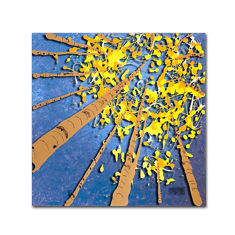 Trademark Fine Art Roderick Stevens 'Aspen Sky' 14 x 14 (RS975-C1414GG) image 1