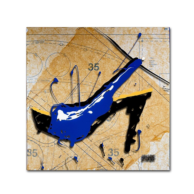 Trademark Fine Art Roderick Stevens 'Blue Heel' 14 x 14 (RS978-C1414GG) image 1