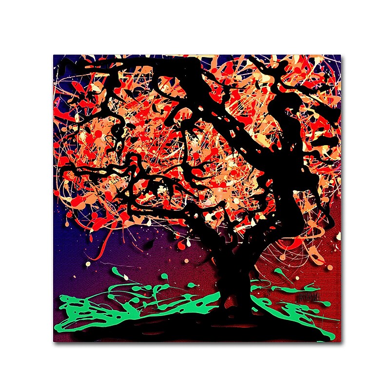 Trademark Fine Art Roderick Stevens 'Fall Red Tree' 24 x 24 (RS981-C2424GG) image 1