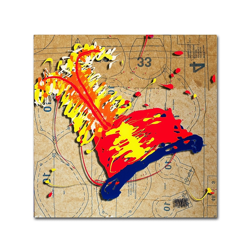 Trademark Fine Art Roderick Stevens 'Red Hat Orange Feathers' 14 x 14 (RS987-C1414GG) image 1