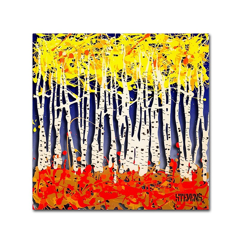 Trademark Fine Art Roderick Stevens 'White Aspens' 35 x 35 (RS994-C3535GG) image 1