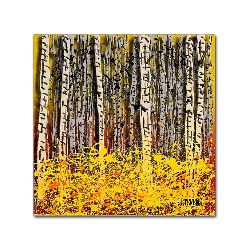 Trademark Fine Art Roderick Stevens 'Fall Aspens' 14 x 14 (RS997-C1414GG) image 1