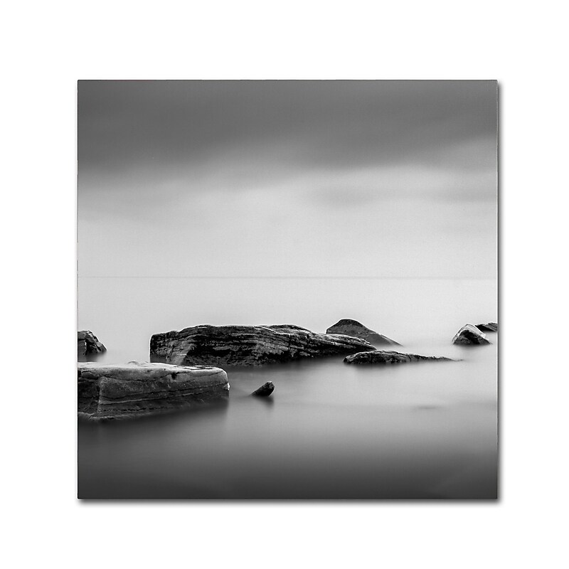 Trademark Fine Art Dave MacVicar 'Calm' 35 x 35 (ALI0824-C3535GG) image 1