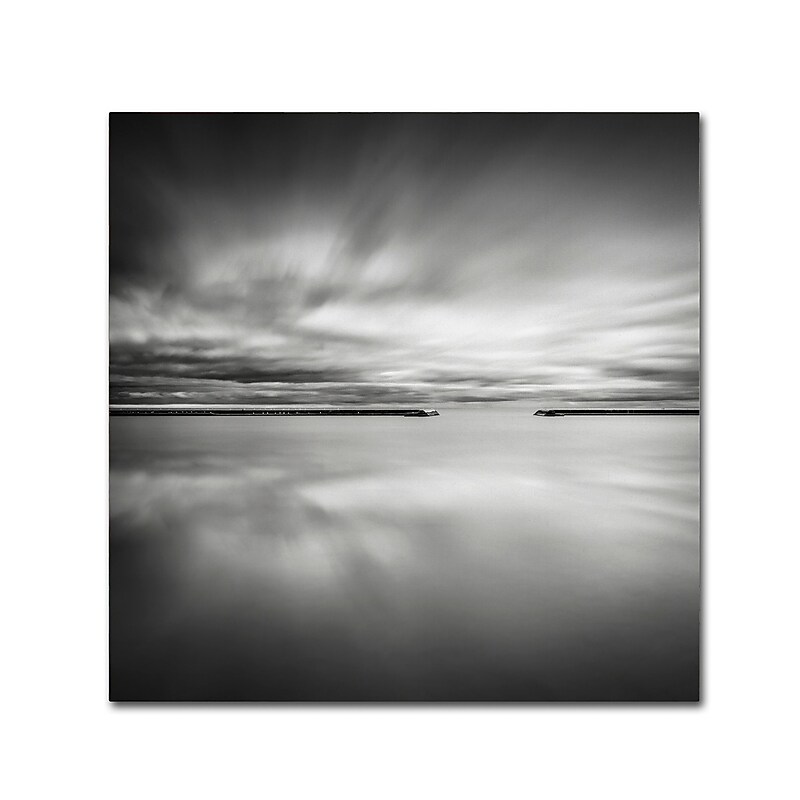 Trademark Fine Art Dave MacVicar 'Double Vision' 35 x 35 (ALI0828-C3535GG) image 1