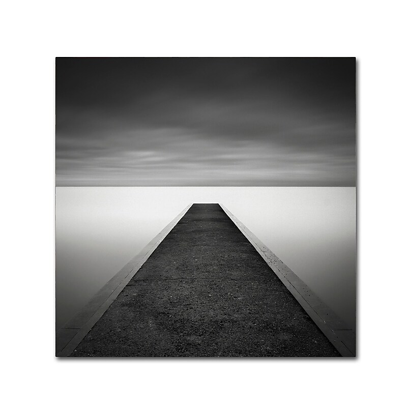 Trademark Fine Art Dave MacVicar 'Edge Of Reality' 24 x 24 (ALI0829-C2424GG) image 1