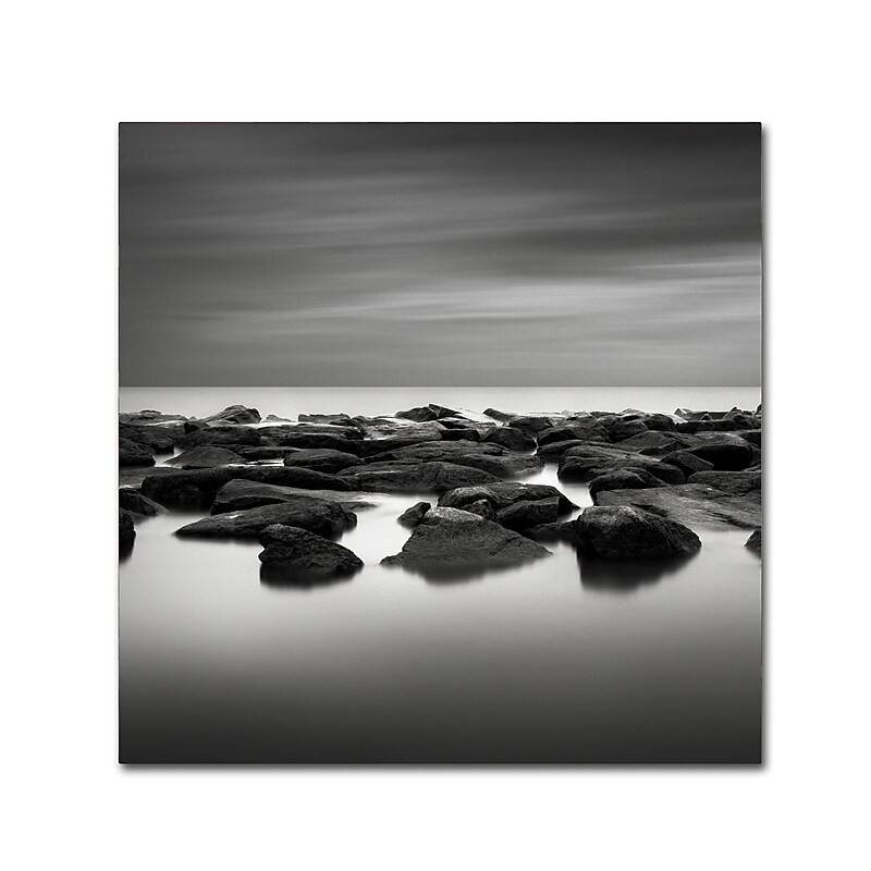 Trademark Fine Art Dave MacVicar 'High Tide' 24 x 24 (ALI0833-C2424GG) image 1