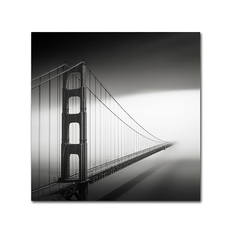 Trademark Fine Art Dave MacVicar 'Into The Mystic' 14 x 14 (ALI0835-C1414GG) image 1