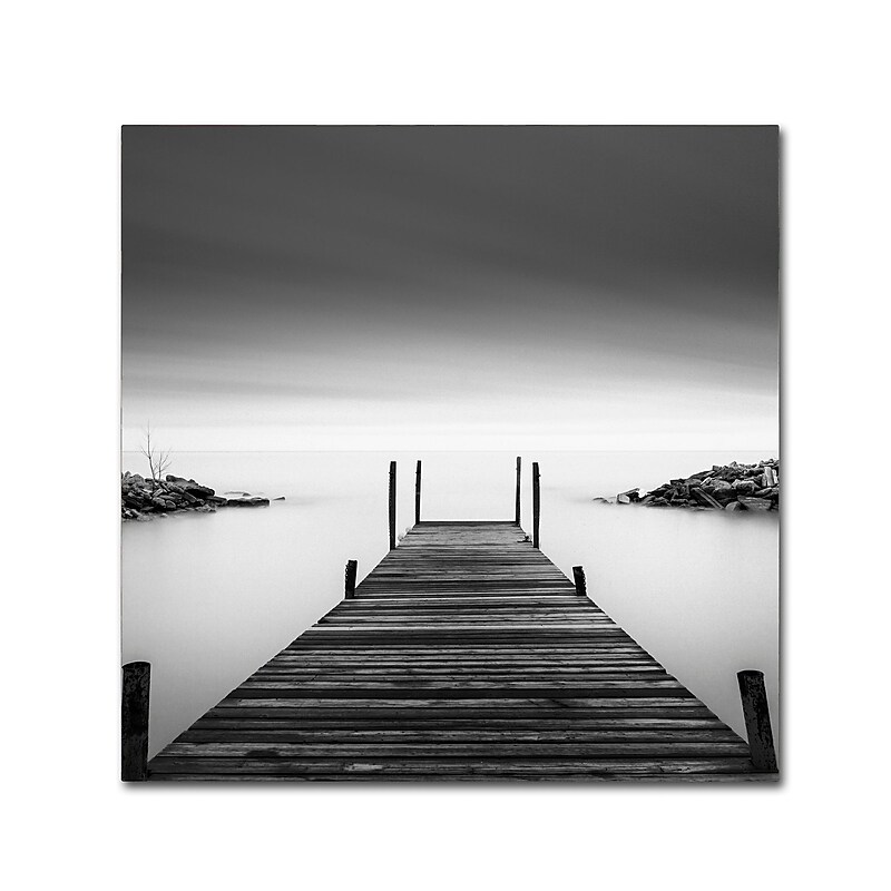 Trademark Fine Art Dave MacVicar 'Leuty' 35 x 35 (ALI0837-C3535GG) image 1