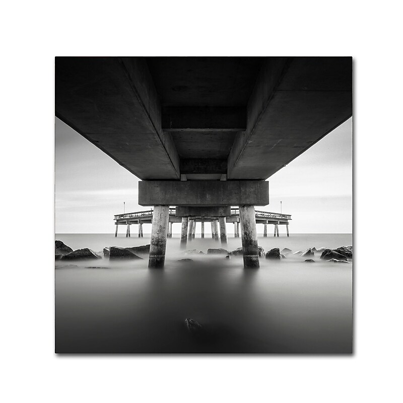 Trademark Fine Art Dave MacVicar 'Life Support' 35 x 35 (ALI0838-C3535GG) image 1