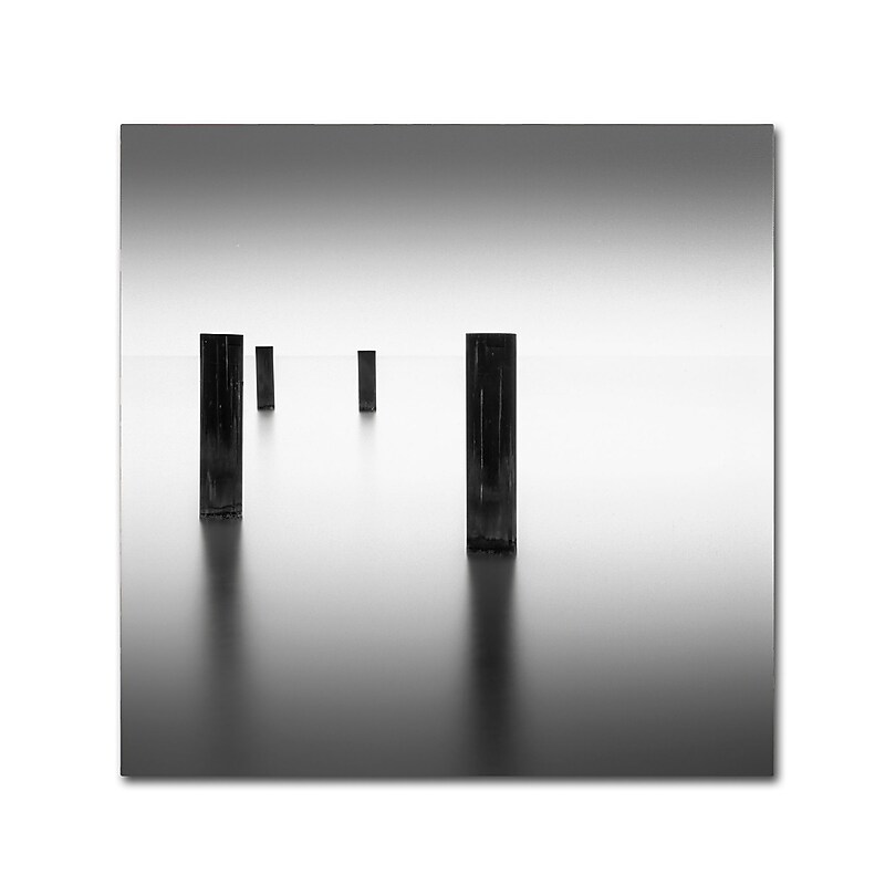 Trademark Fine Art Dave MacVicar 'Lucid' 14 x 14 (ALI0841-C1414GG) image 1