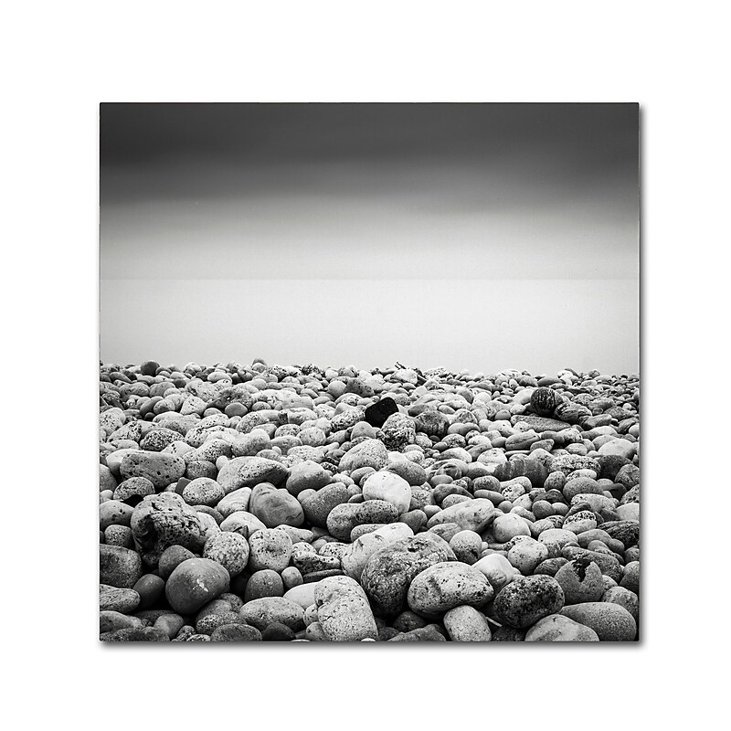 Trademark Fine Art Dave MacVicar 'Pebble Beach' 24 x 24 (ALI0844-C2424GG) image 1