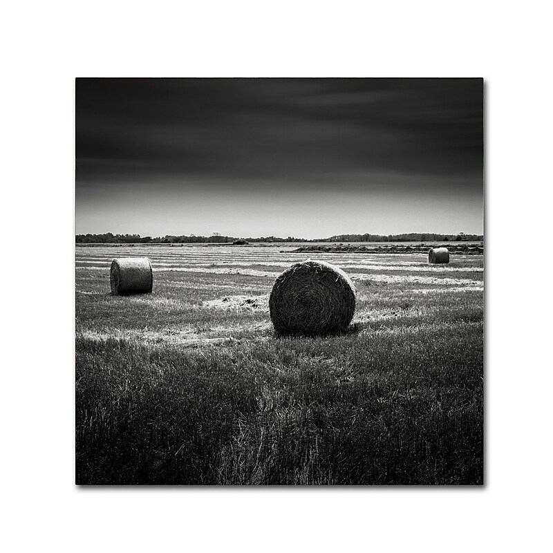 Trademark Fine Art Dave MacVicar 'Rural' 24 x 24 (ALI0848-C2424GG) image 1