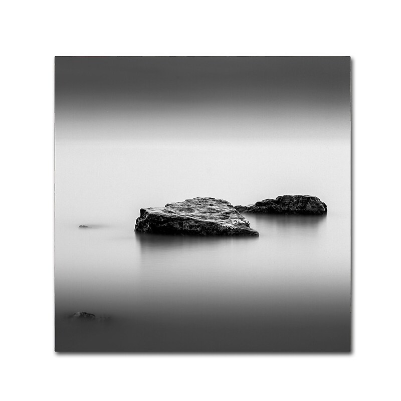 Trademark Fine Art Dave MacVicar 'Simple' 14 x 14 (ALI0853-C1414GG) image 1