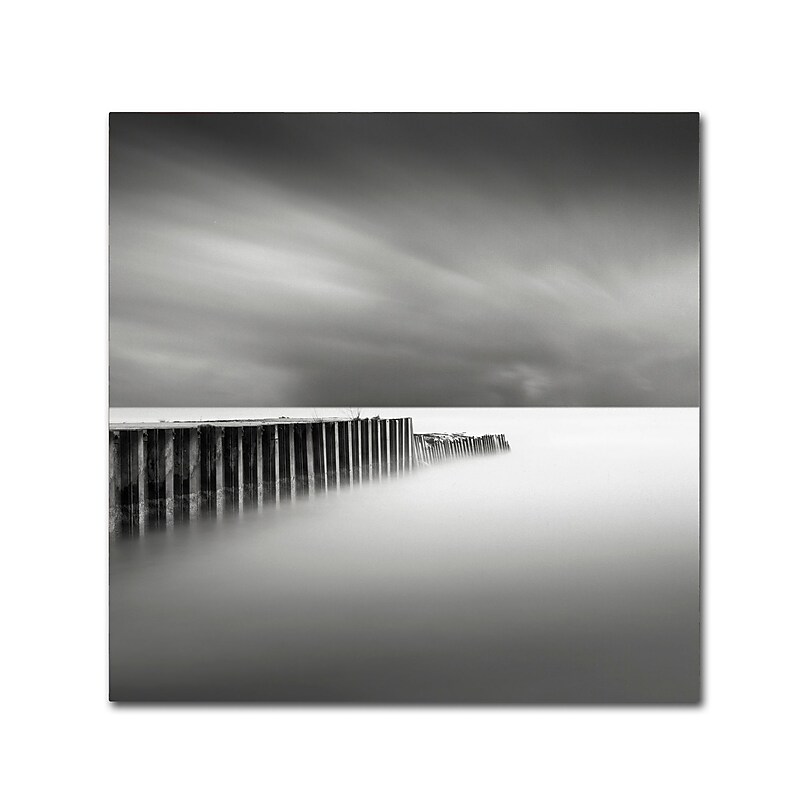 Trademark Fine Art Dave MacVicar 'Stormy' 24 x 24 (ALI0855-C2424GG) image 1