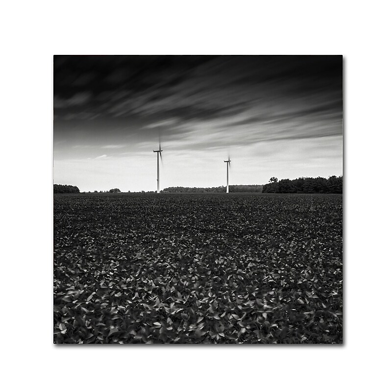 Trademark Fine Art Dave MacVicar 'Wind' 14 x 14 (ALI0867-C1414GG) image 1