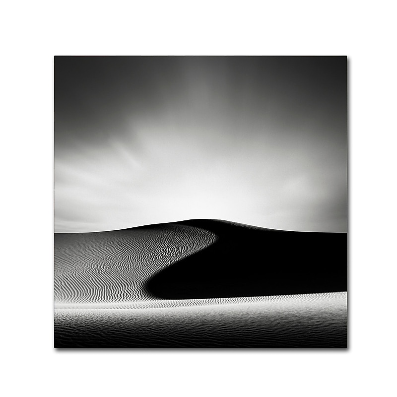 Trademark Fine Art Dave MacVicar 'Dark Shadows' 24 x 24 (ALI0869-C2424GG) image 1