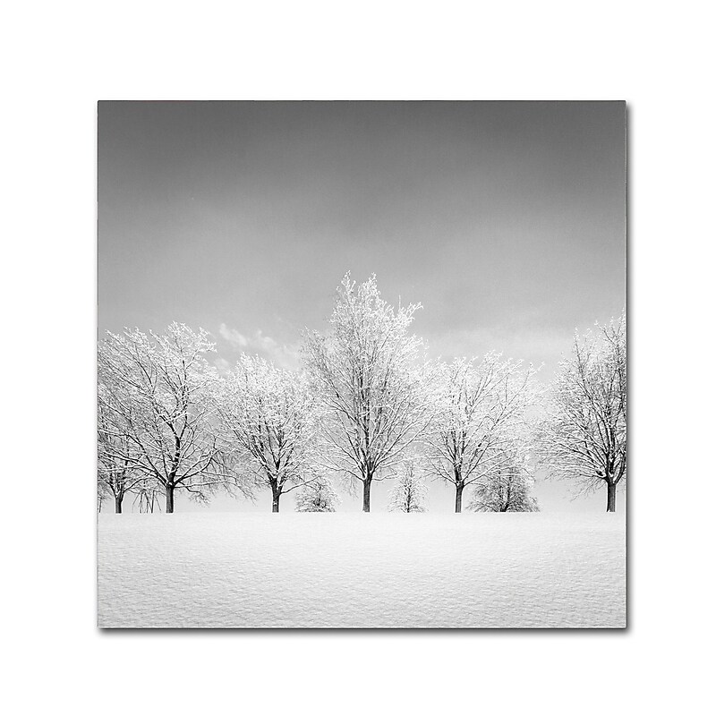 Trademark Fine Art Dave MacVicar 'Ice Storm' 35 x 35 (ALI0870-C3535GG) image 1