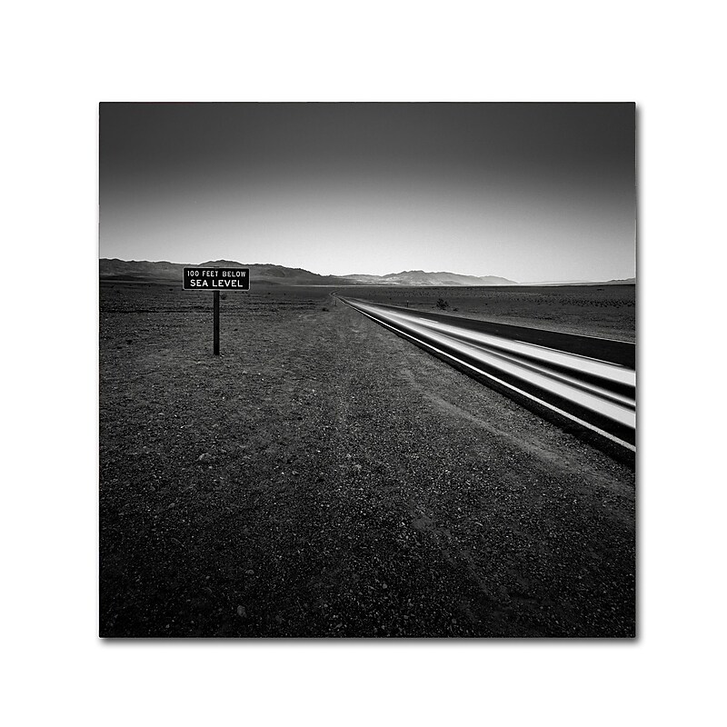 Trademark Fine Art Dave MacVicar 'Low' 14 x 14 (ALI0871-C1414GG) image 1