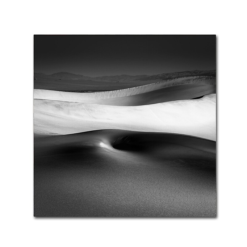 Trademark Fine Art Dave MacVicar 'Navel' 35 x 35 (ALI0872-C3535GG) image 1