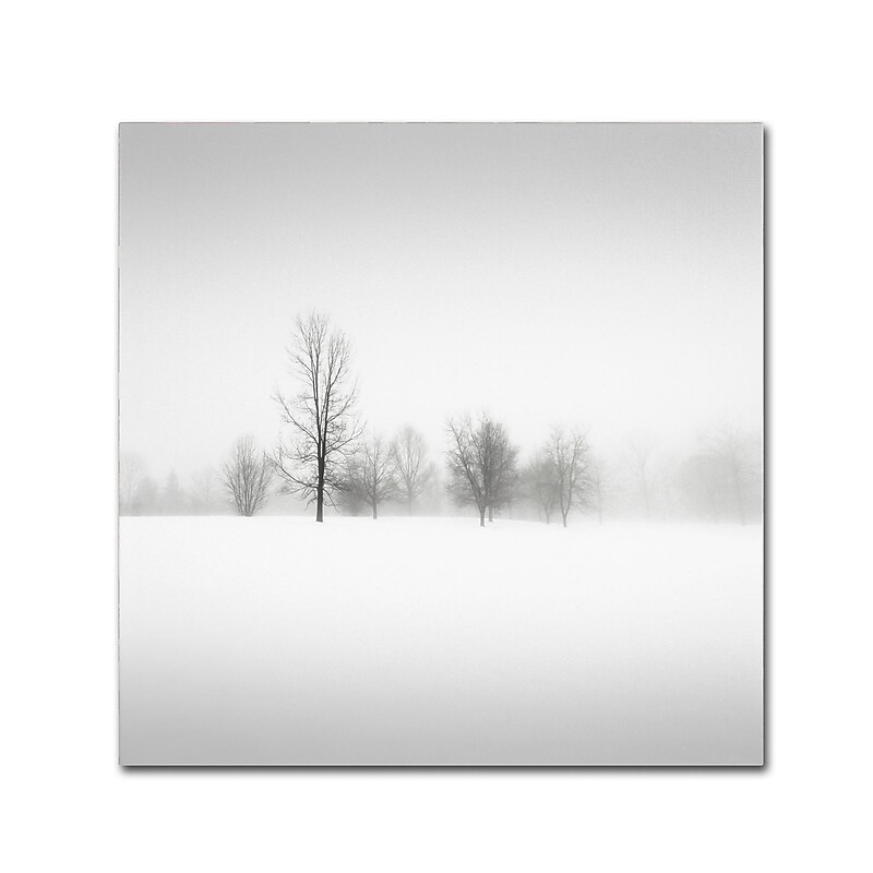 Trademark Fine Art Dave MacVicar 'Winter Fog' 24 x 24 (ALI0879-C2424GG) image 1