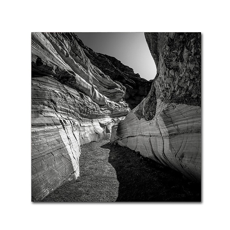 Trademark Fine Art Dave MacVicar 'Yin Yang' 35 x 35 (ALI0880-C3535GG) image 1