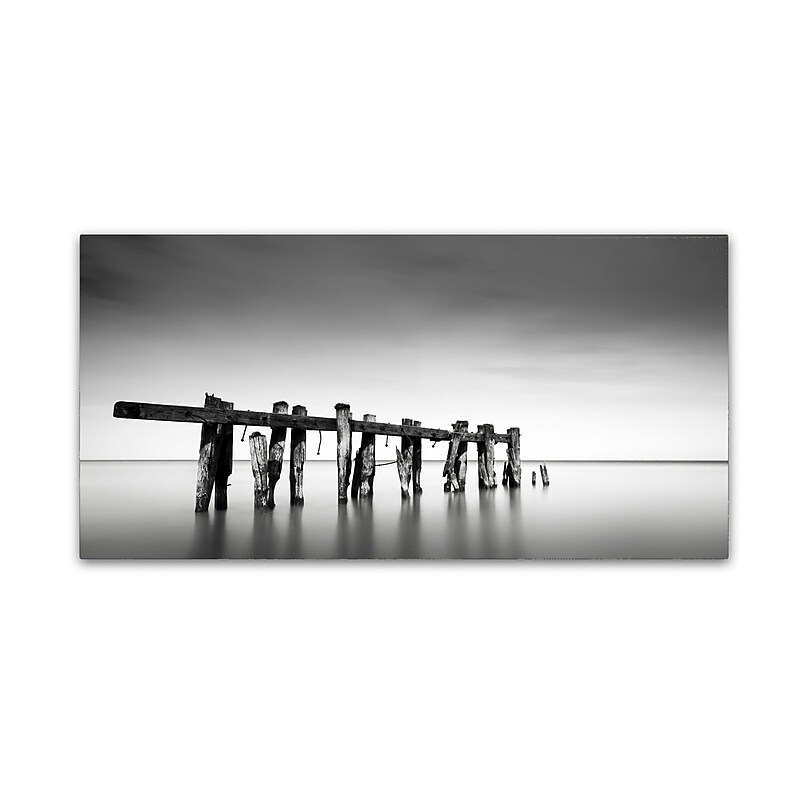 Trademark Fine Art Dave MacVicar 'Defiance' 24 x 47 (ALI0827-C2447GG) image 1