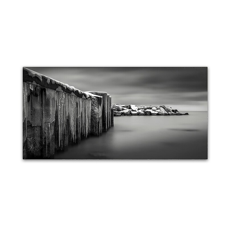 Trademark Fine Art Dave MacVicar 'Icicle Works' 24 x 47 (ALI0834-C2447GG) image 1