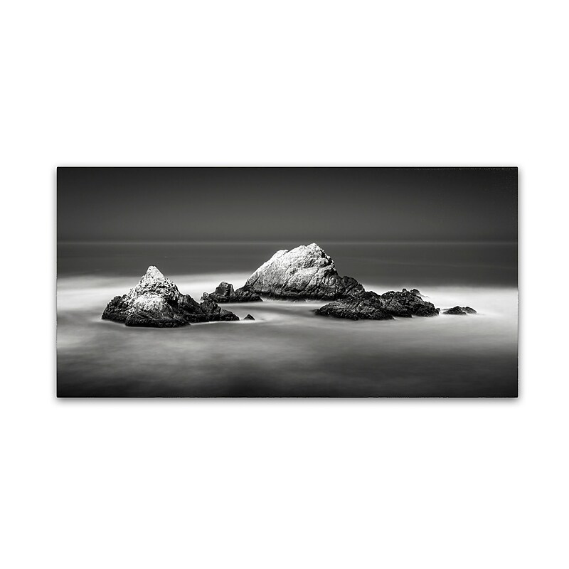 Trademark Fine Art Dave MacVicar 'Seal Rocks' 12 x 24 (ALI0851-C1224GG) image 1