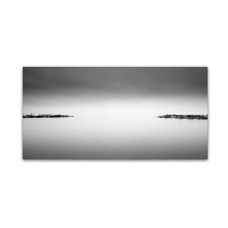 Trademark Fine Art Dave MacVicar 'Symmetry' 24 x 47 (ALI0858-C2447GG) image 1