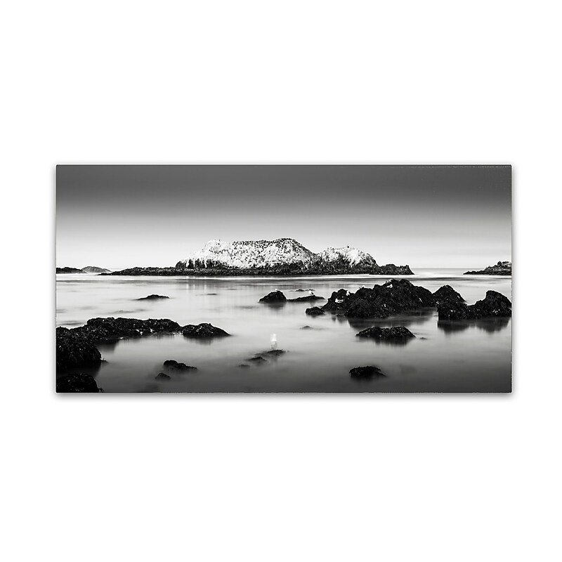 Trademark Fine Art Dave MacVicar 'The Gathering' 24 x 47 (ALI0860-C2447GG) image 1