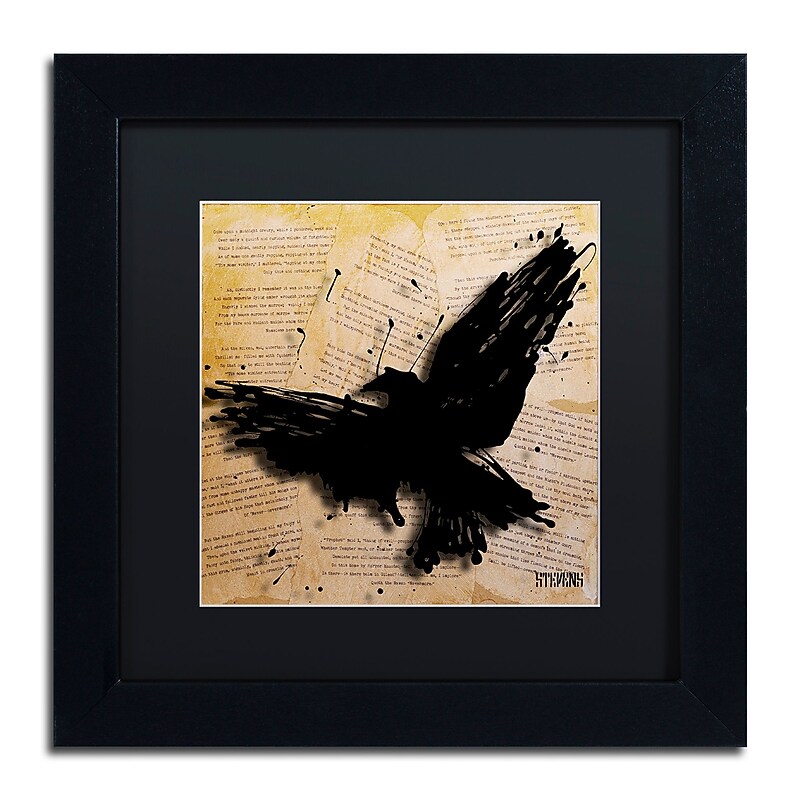 Trademark Fine Art Roderick Stevens 'The Raven 2' 11 x 11 (RS1012-B1111BMF) image 1