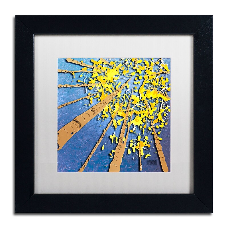 Trademark Fine Art Roderick Stevens 'Aspen Sky' 11 x 11 (RS975-B1111MF) image 1