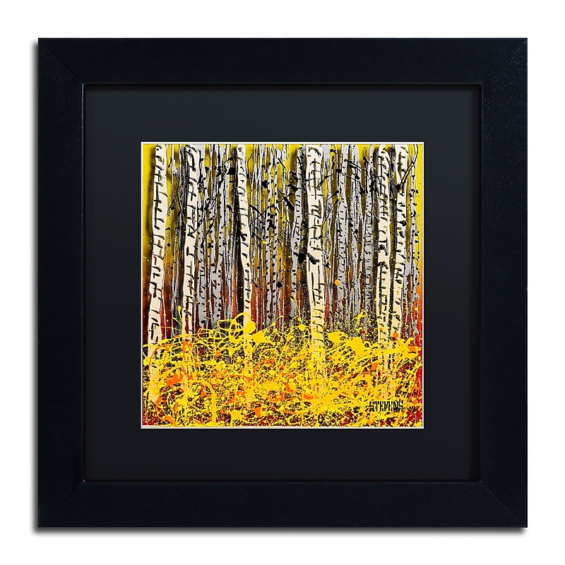 Trademark Fine Art Roderick Stevens 'Fall Aspens' 11 x 11 (RS997-B1111BMF) image 1