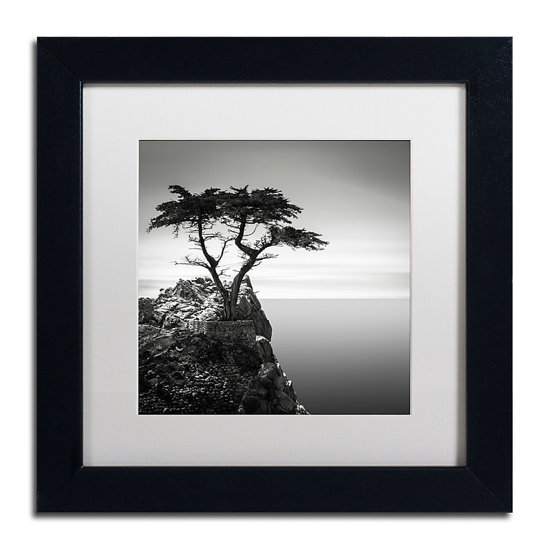 Trademark Fine Art Dave MacVicar 'The Lone Cypress' 11 x 11 Framed Art Print (ALI0820-B1111MF) image 1