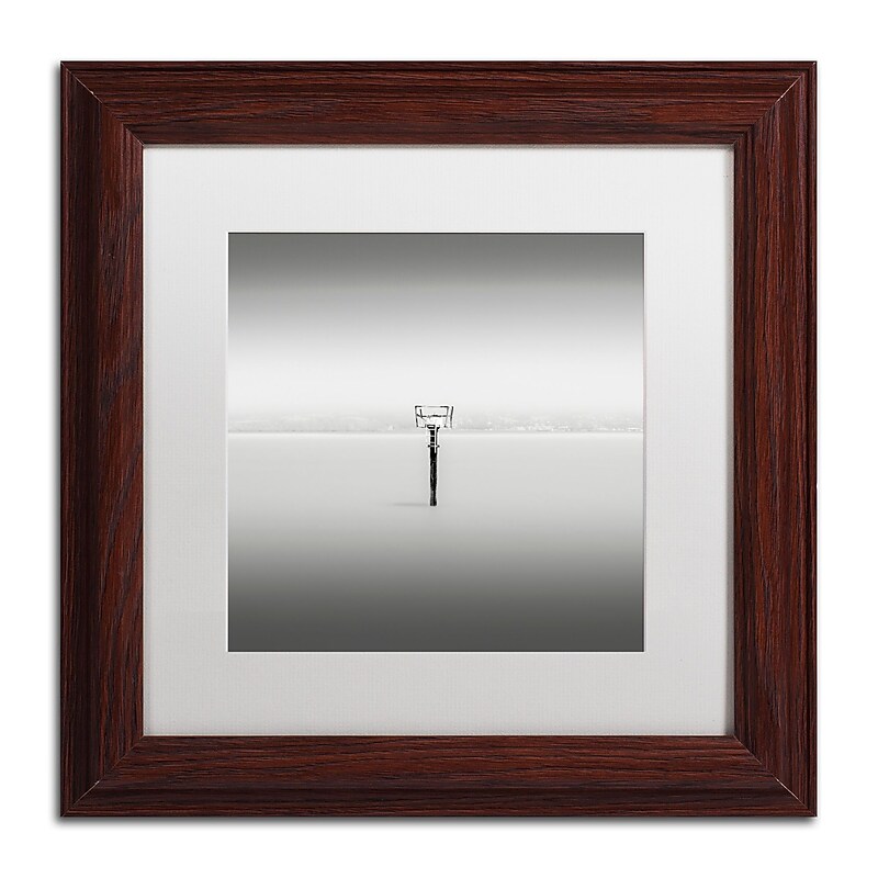 Trademark Fine Art Dave MacVicar 'Isolation' 11 x 11 (ALI0836-W1111MF) image 1
