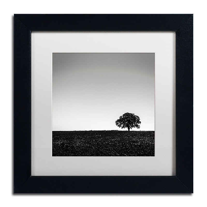 Trademark Fine Art Dave MacVicar 'One Tree Hill' 11 x 11 (ALI0843-B1111MF) image 1