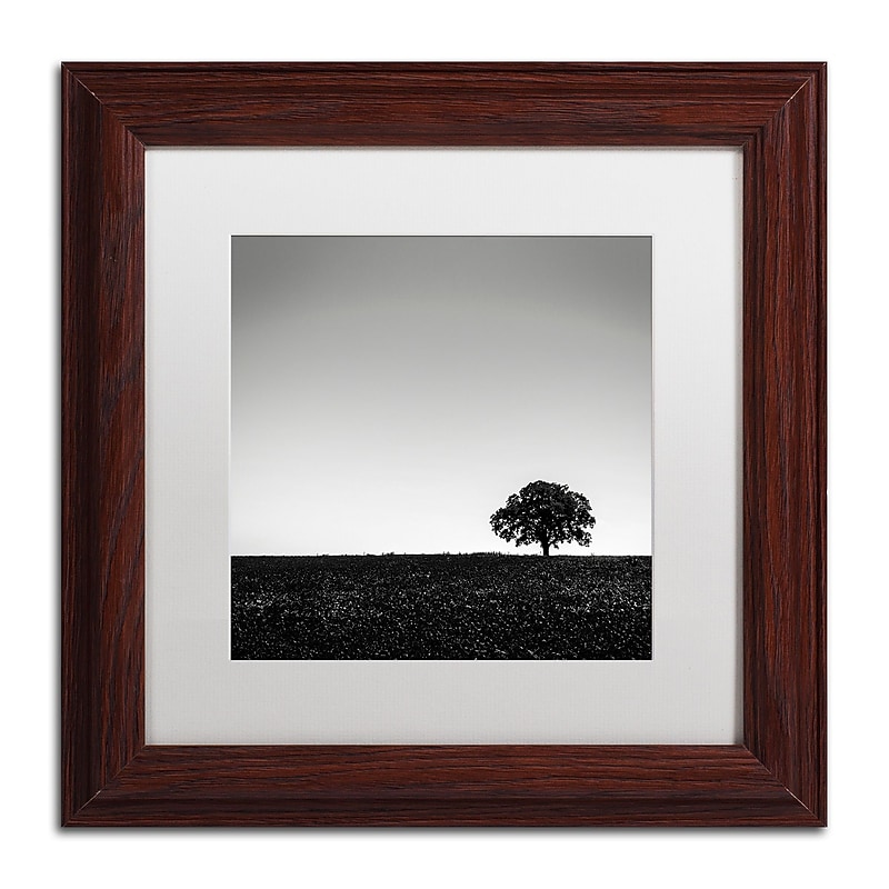 Trademark Fine Art Dave MacVicar 'One Tree Hill' 11 x 11 (ALI0843-W1111MF) image 1