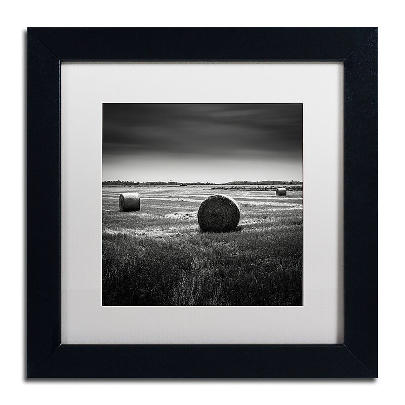 Trademark Fine Art Dave MacVicar 'Rural' 11 x 11 (ALI0848-B1111MF) image 1