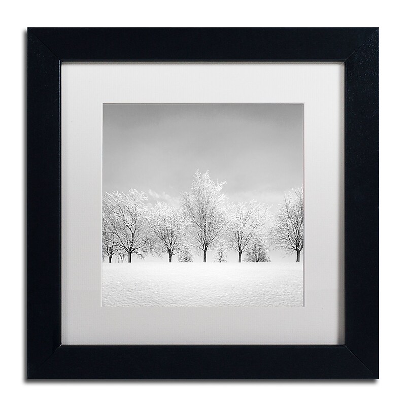 Trademark Fine Art Dave MacVicar 'Ice Storm' 11 x 11 (ALI0870-B1111MF) image 1