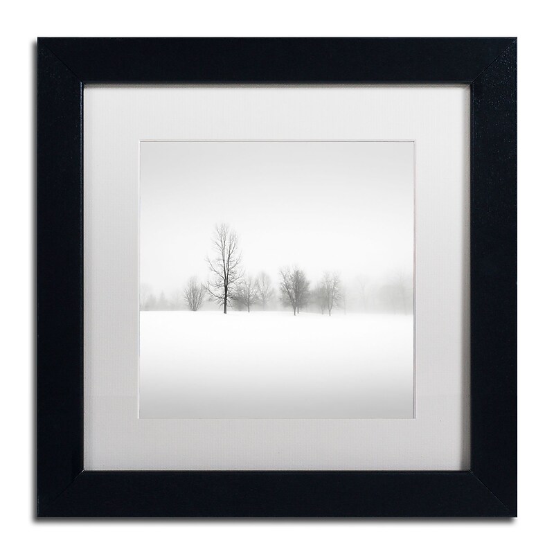 Trademark Fine Art Dave MacVicar 'Winter Fog' 11 x 11 Framed Art Print (ALI0879-B1111MF) image 1