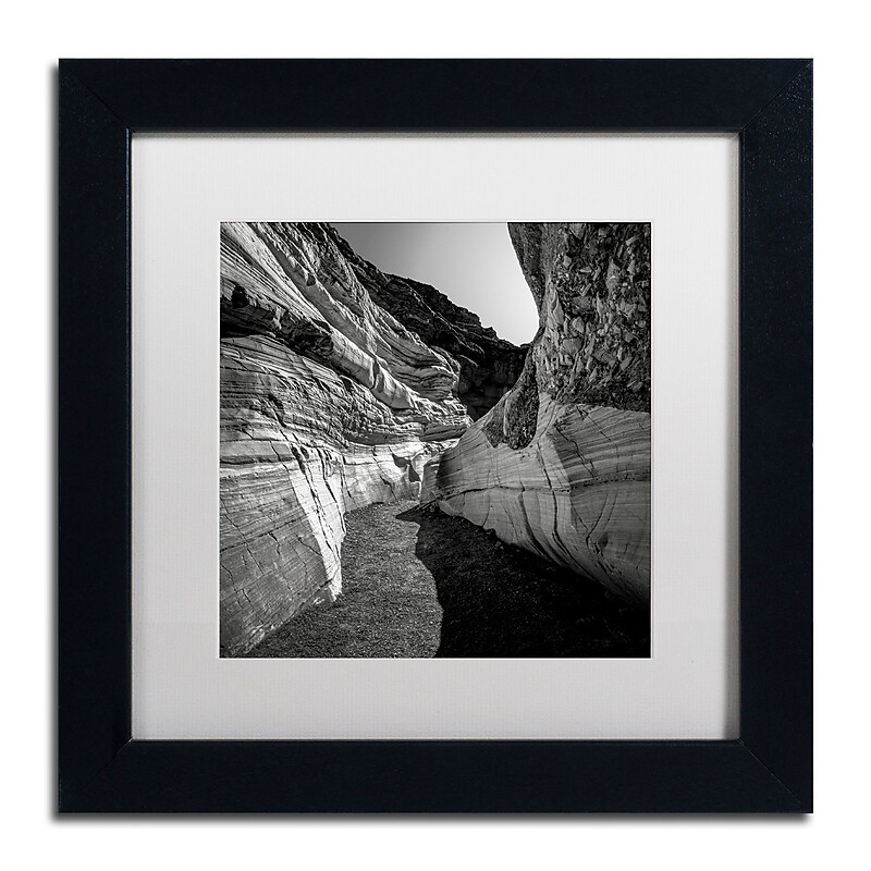 Trademark Fine Art Dave MacVicar 'Yin Yang' 11 x 11 (ALI0880-B1111MF) image 1