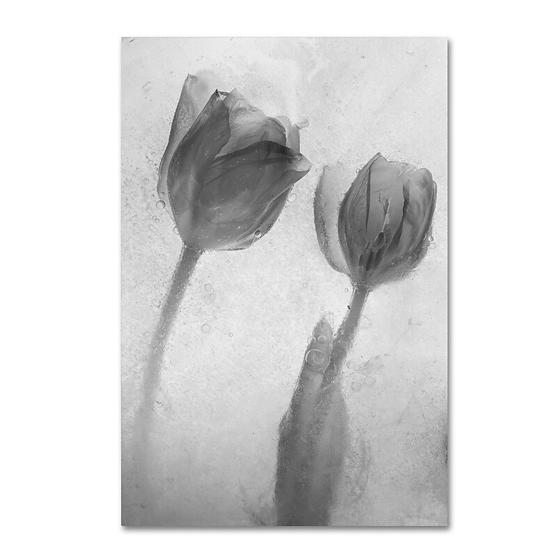 Trademark Fine Art Moises Levy 'Flowers on Ice-1' 30 x 47 (ALI0733-C3047GG) image 1