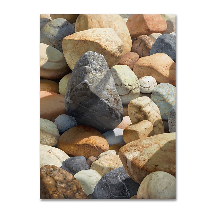 Trademark Fine Art Stephen Stavast 'A Bolder View' 18 x 24 (ALI0740-C1824GG) image 1