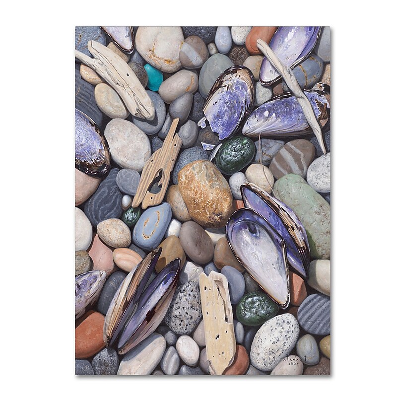 Trademark Fine Art Stephen Stavast 'Treasure at Muscle Beach' 14 x 19 (ALI0747-C1419GG) image 1