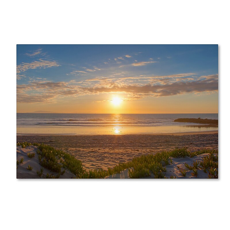Trademark Fine Art Chris Moyer 'Pierpont Sunset' 16 x 24 (ALI0766-C1624GG) image 1