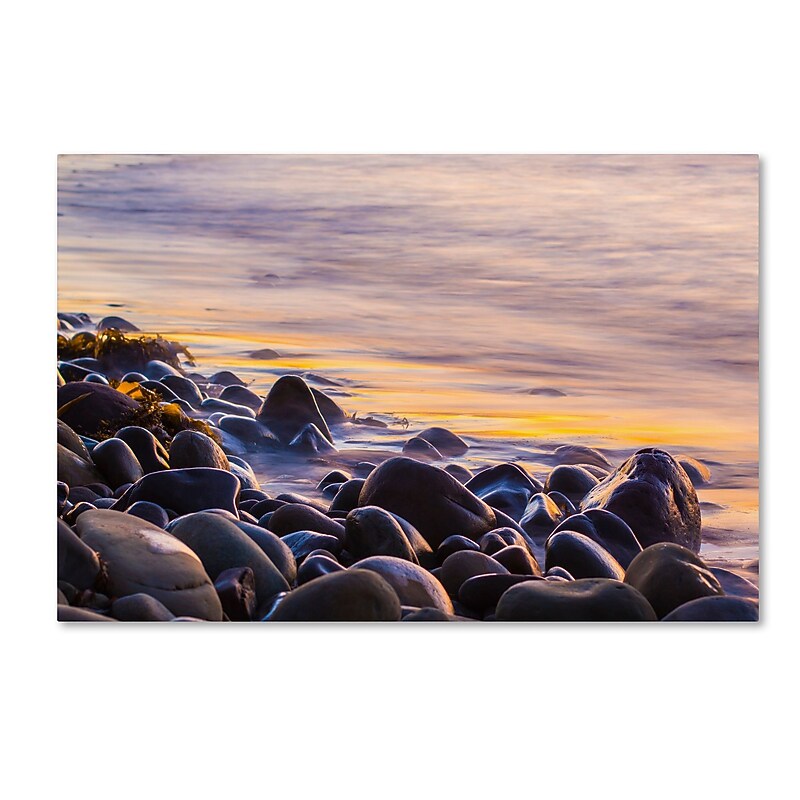 Trademark Fine Art Chris Moyer 'Wet Rock Reflections' 30 x 47 (ALI0767-C3047GG) image 1