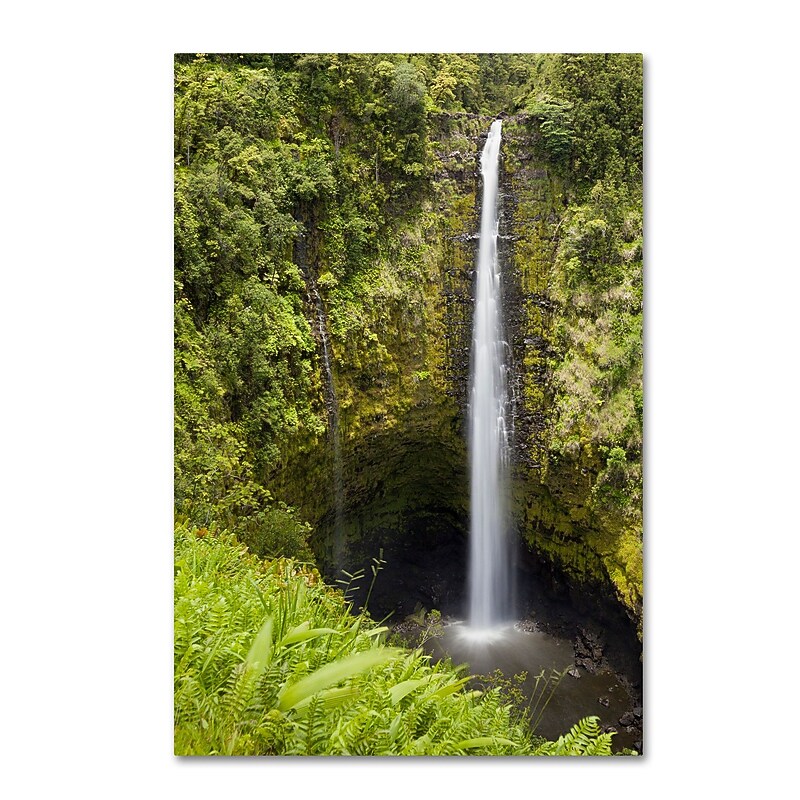 Trademark Fine Art Chris Moyer 'Akaka Falls' 12 x 19 (ALI0769-C1219GG) image 1